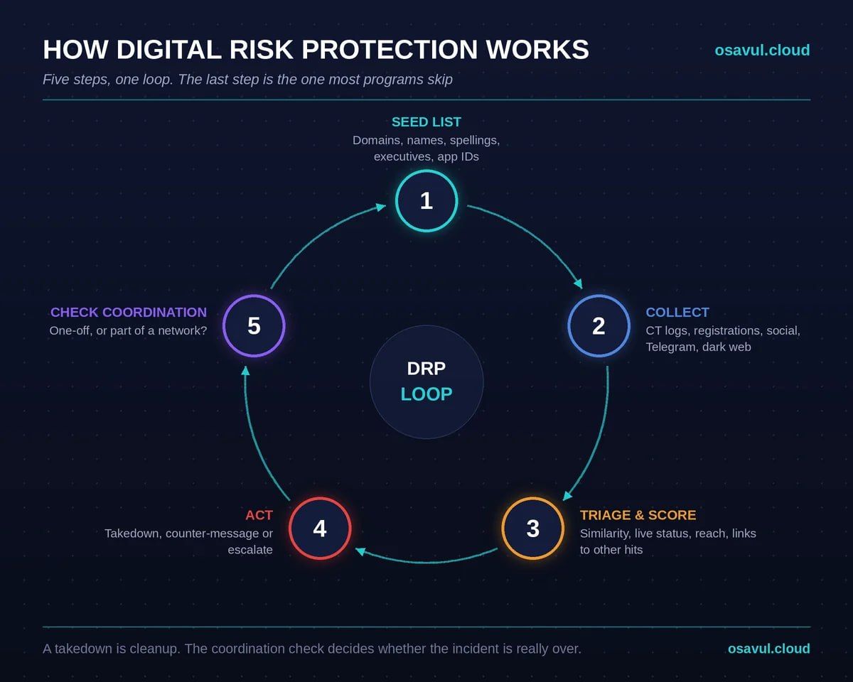 Digital risk protection services