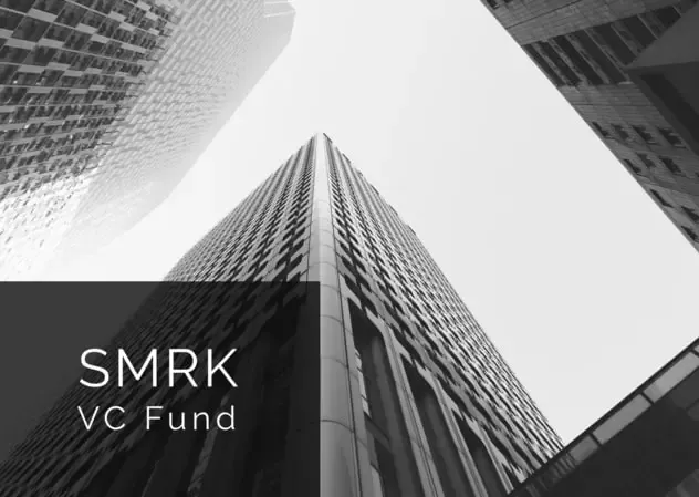 Osavul has raised $1 mln investment round from SMRK VC fund