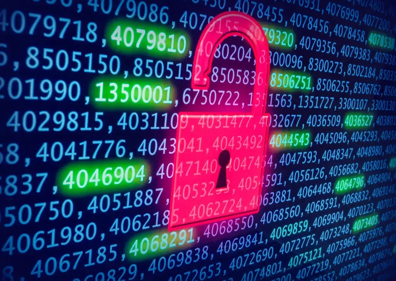 What Is a Data Leak?
